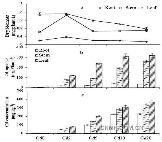 353115_20130105121308138o6