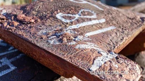 卡莫阿銅業(yè)已于近日取得所有必要的銅精礦出口許可,并按照公平競(jìng)爭(zhēng)條款,就卡莫阿-卡庫(kù)拉銅礦一期一序列100%產(chǎn)量與紫金礦業(yè)全資子公司金山香港和中信金屬簽署各50%產(chǎn)量的包銷協(xié)議。