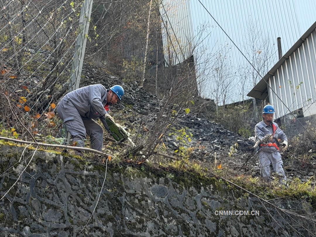 陜西黃金四方金礦職工正在清理防火隔離帶