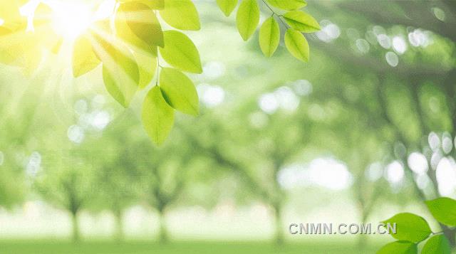 2025年中國再生資源行業十大影響力事件